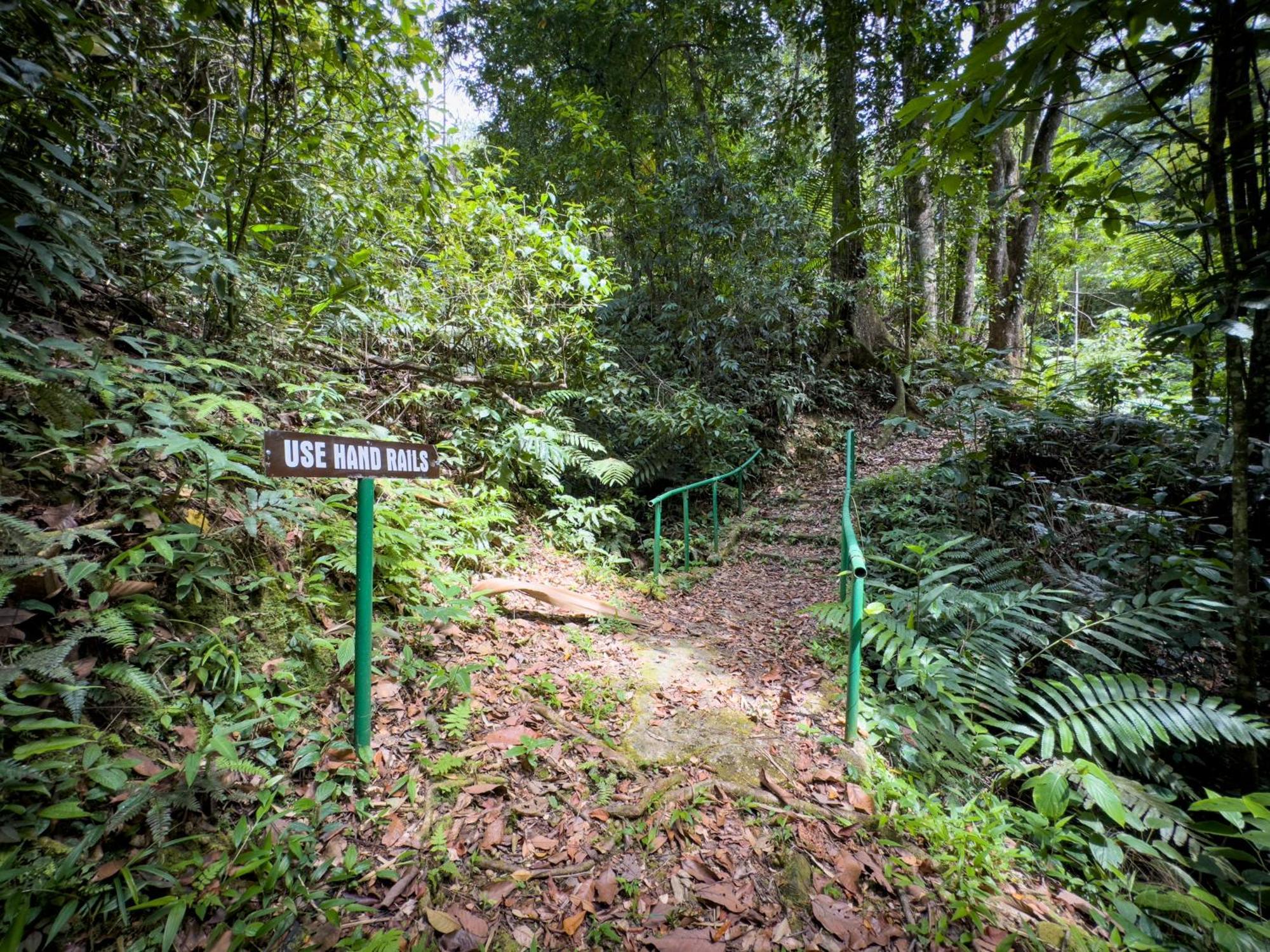 Hadco Experiences At Asa Wright Nature Centre Blanchisseuse Luaran gambar