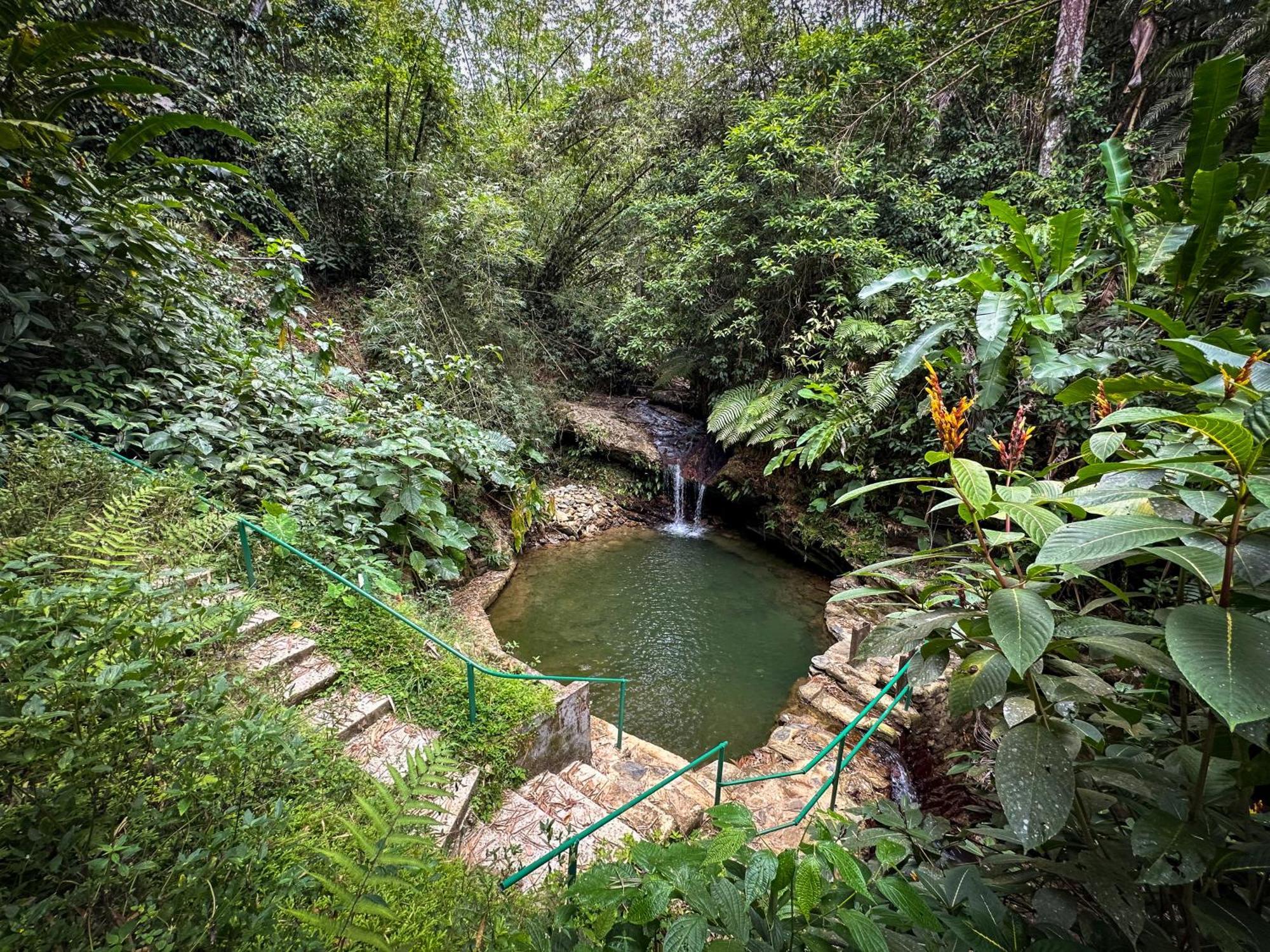 Hadco Experiences At Asa Wright Nature Centre Blanchisseuse Luaran gambar